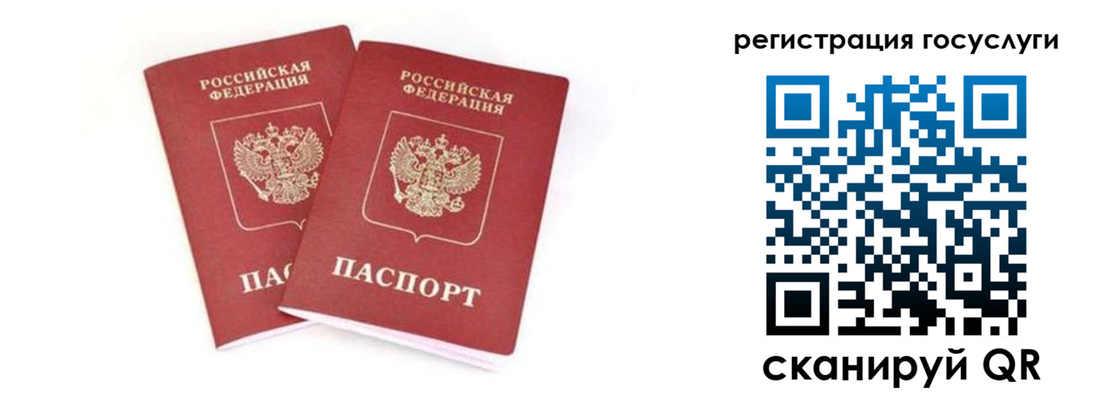 прописка в квартире в Архангельской области